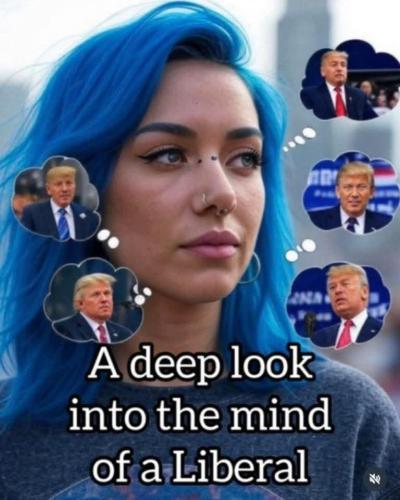 c24dd29d-b2aa-41c4-877e-293686a3c573