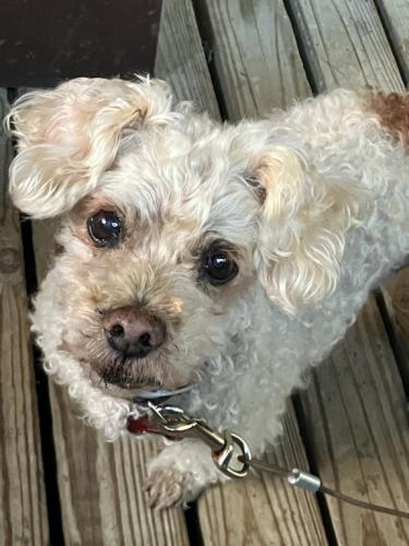 0CD9103F-8A4B-4560-BA88-B5FF8CFF2E41