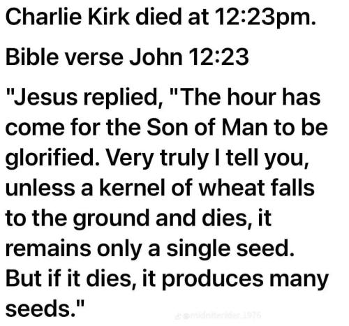 IMG_20250916_173155_291