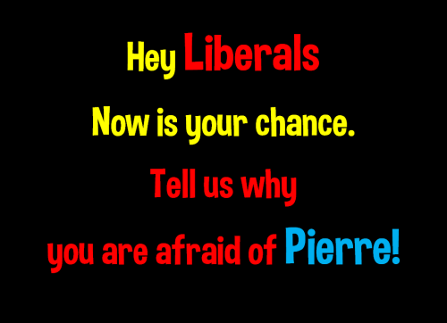 afraid of pierre