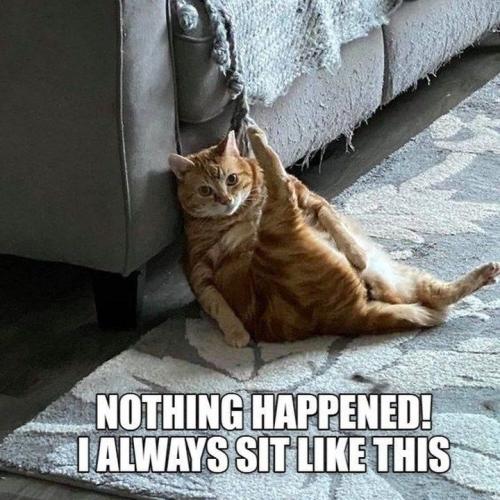 4395f54af7cb4f53e3d9ad6a448d416a