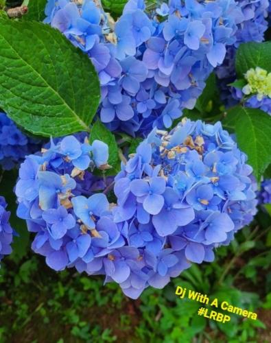 Screenshot_20250921_073322_Gallery