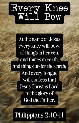 487310541_1115359950631331_1839635039412821160_n