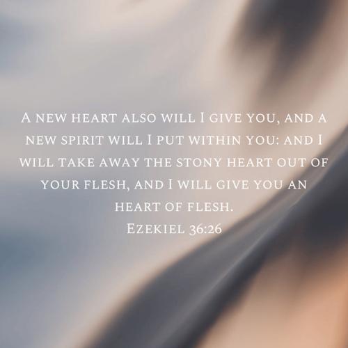 9120FC68-194B-4A9F-92F5-F7426D4D39F5