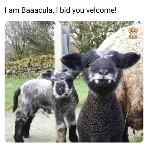 IMG_20250919_140738_419