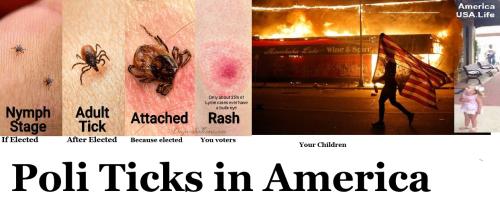 MrAiHd2f8DGmvXZhTJaT_url_image