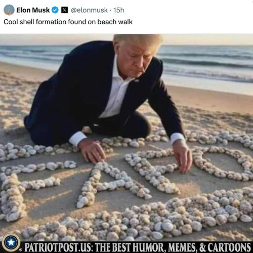 01K6ANZK377J8YCYZS1X595BRJ