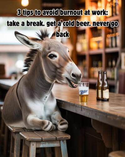 545575095_122242638932252928_2763405201188497647_n