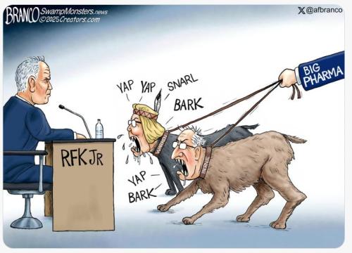 2fff37e9-6da5-4f75-8cd4-ac5b9d7d0f3b_800x576