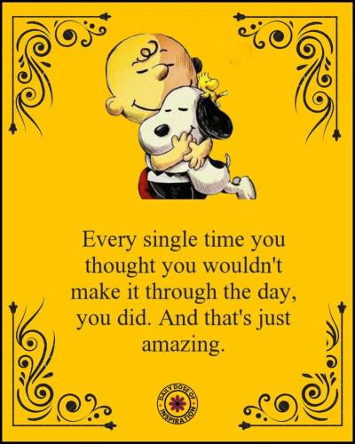 73a0040b6741f51f03d9e3792905733c