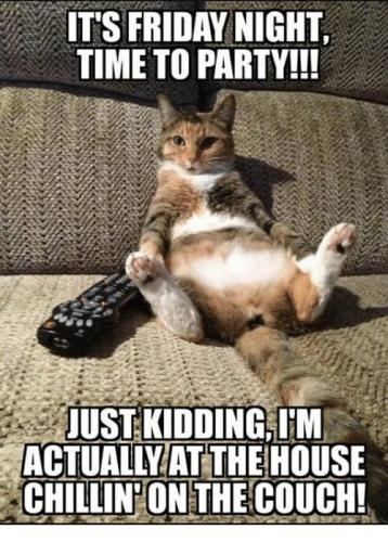 d1f2d090b6351342abc364362c876577