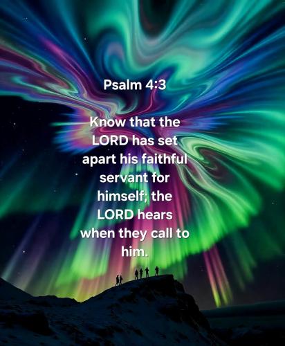 546410988_24312810111724937_1300008109609818896_n