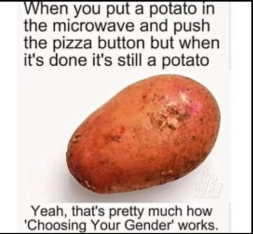 main-qimg-a98d6bd781e19e5fb6d14ddf66083583