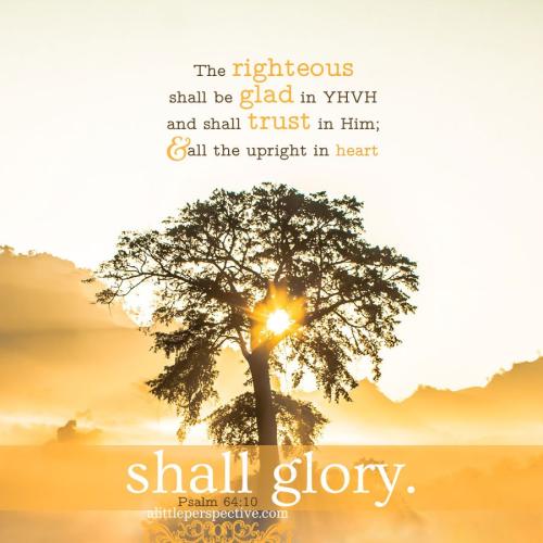 psa-64-10-KJV-pixabay-9x