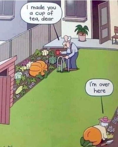 Screenshot_20250905_075421_Gallery