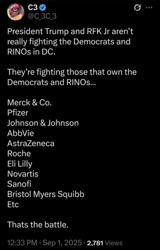 The REAL BATTLE - Corrupt Globalist Organizations