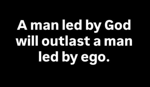 91660d51-78bf-4815-9a8e-5cacf90c35c4