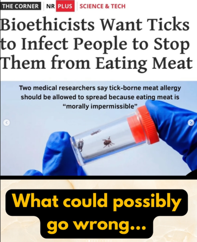 Screenshot 2025-09-14 155242