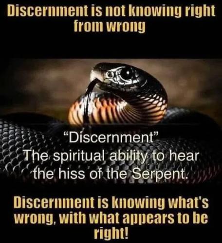 discernment