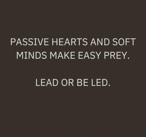 Screenshot_20250923_043920_Instagram