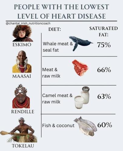 541433988_1325196306276217_2597343273604084320_n