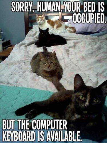 0652688b422ed88984290188e7d9e69d