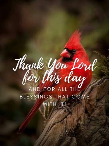 541684316_795483606319321_3122303823325247272_n