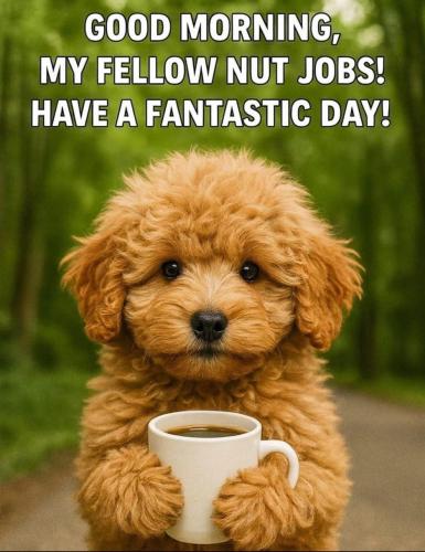 IMG_20250926_015452_405