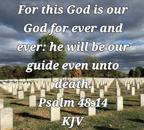 3ab33362-6d4b-456e-8f0f-57c24f318e73