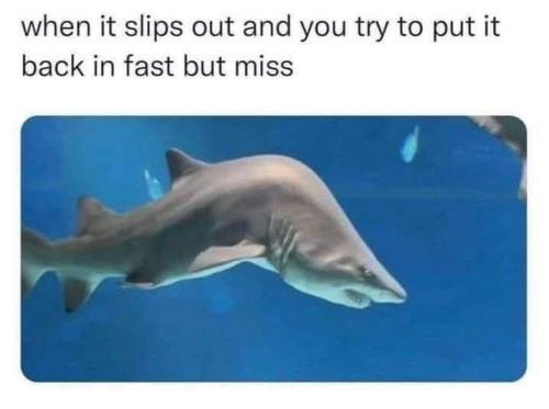 53B72A7E-CD51-4DDF-9ECD-1D99813514FB