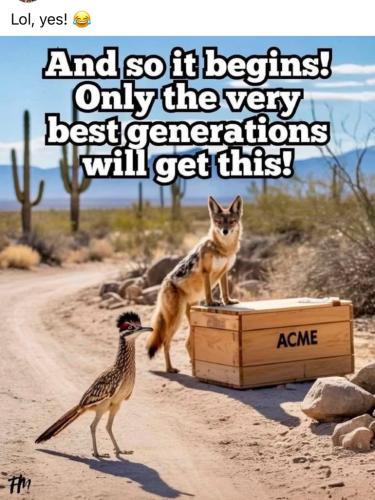 D3B3F28A-418A-4A2C-B5D0-9D1F6A38D039