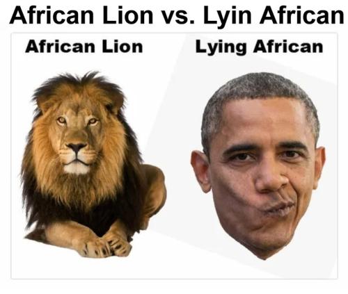 Lying African.768px