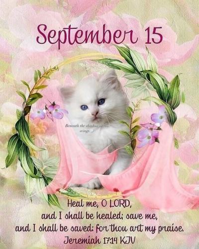 548864708_18024403970743683_3135072710202559476_n