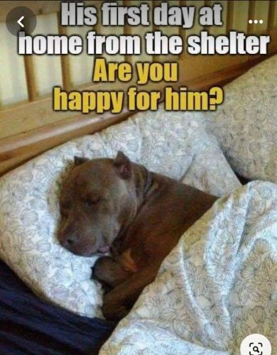 33ac521e4b91ab2bd7a8d8d6d1267205