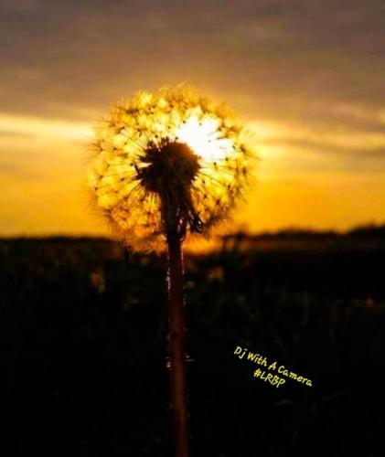 Screenshot_20250907_190950_Gallery