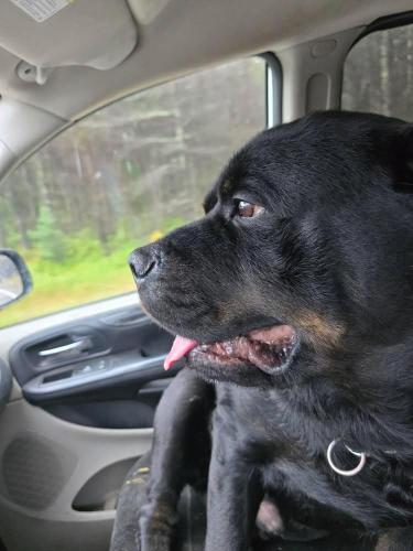 7c96f467-8012-4cb5-a89f-aa53b2eb76c8