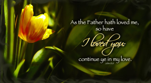 Screenshot_20250907-193601-173