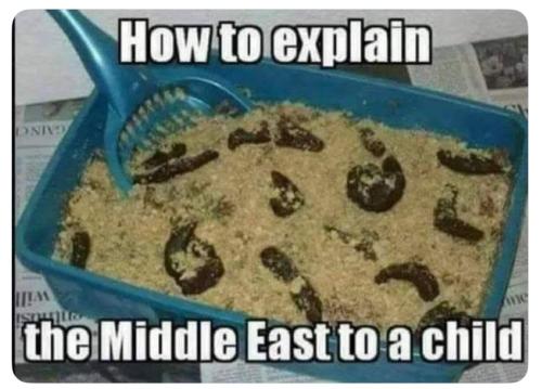 53B0432F-5A59-4D24-90A0-7B1F0EFFCDAA