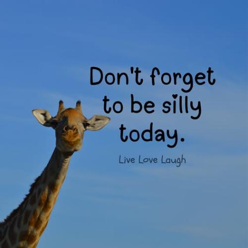 540944096_1318427563184366_3724125435043315360_n