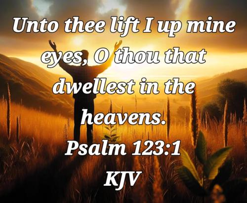 3f6c45e3-225e-4d3b-a0d5-c392768dea3b