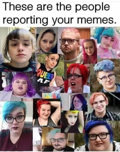 people-reporting-your-memes