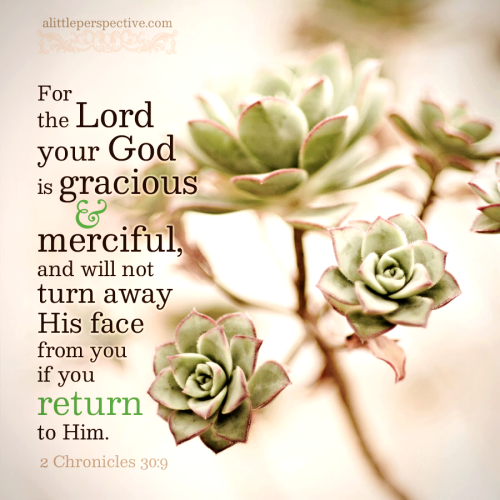 2-chr-30-9-JPS-unsplash