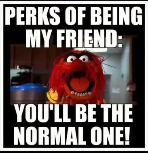 perks-being-my-friend