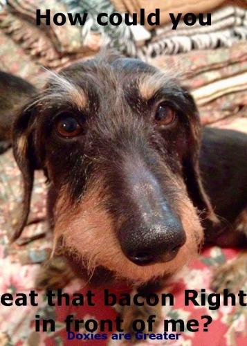 1b56beb09b59ed56a36b4e299ce68637