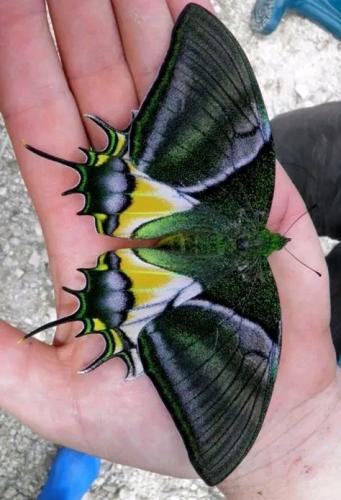 06:42:11 GMT-0500 (CDT)