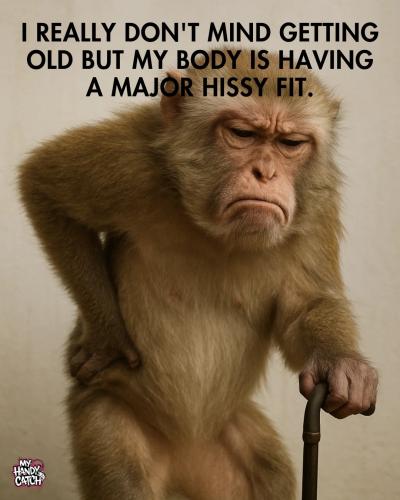 old_body_having_hissy_fit_funny