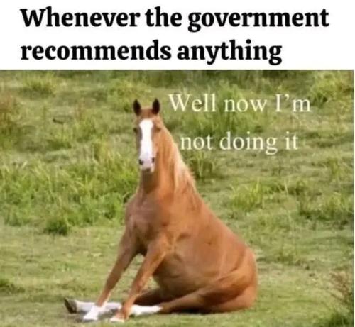 IMG_20250923_150035_119