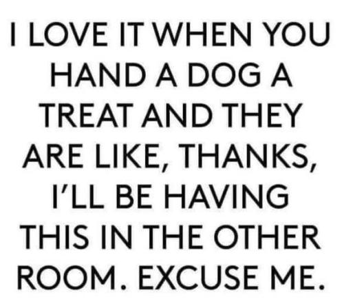 8eaa4ae271a8690e60eea7a83226fe5c