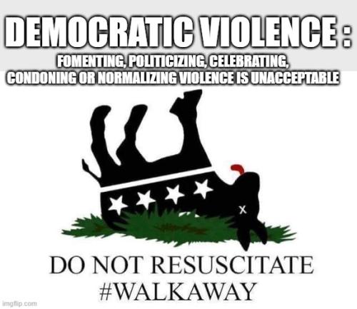 Democratic Violence 2