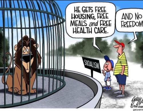 FB_IMG_1757207446074